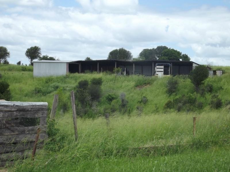 559 North Dallarnil Road, Dallarnil QLD 4621