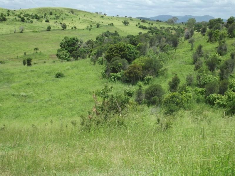 559 North Dallarnil Road, Dallarnil QLD 4621