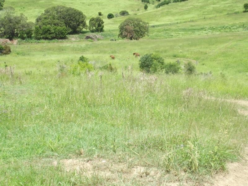 559 North Dallarnil Road, Dallarnil QLD 4621