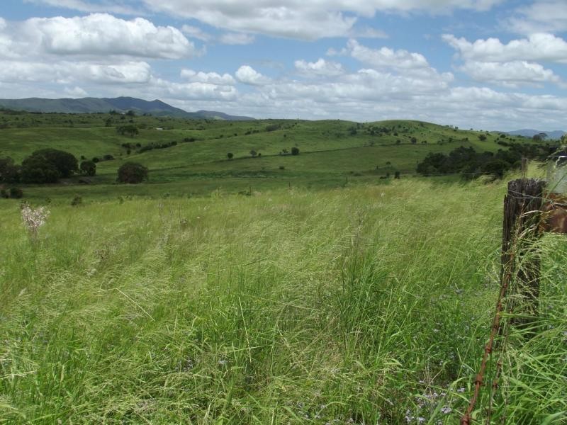 559 North Dallarnil Road, Dallarnil QLD 4621