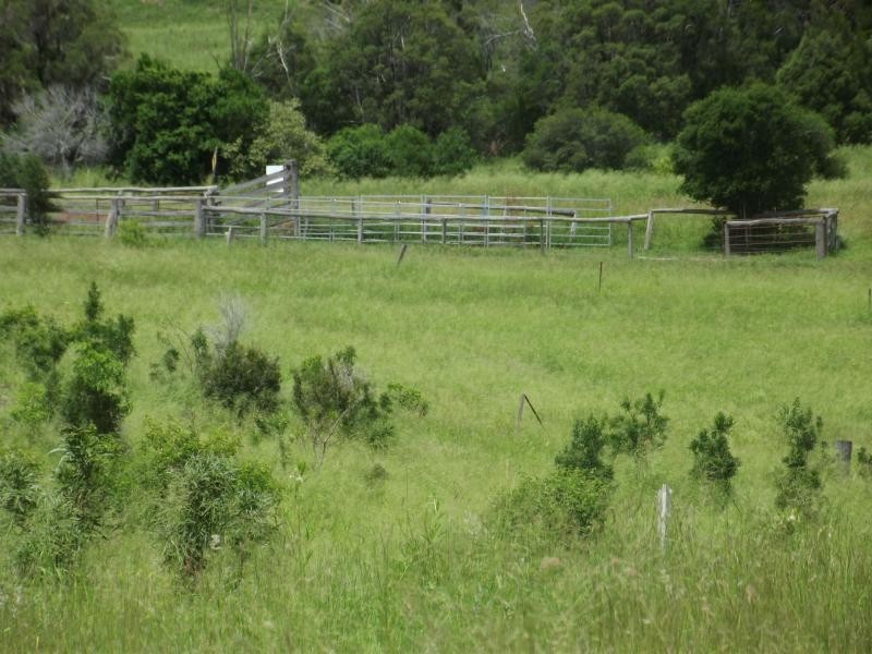 559 North Dallarnil Road, Dallarnil QLD 4621