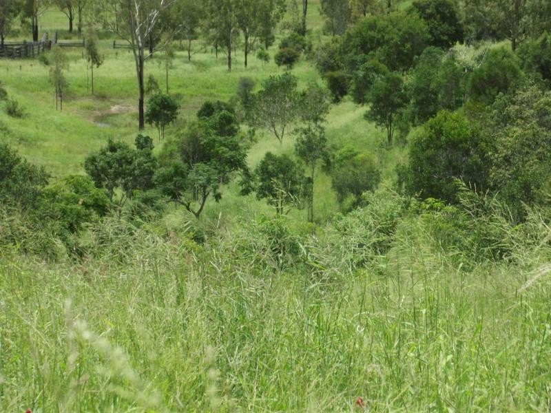 559 North Dallarnil Road, Dallarnil QLD 4621