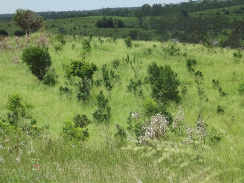 559 North Dallarnil Road, Dallarnil QLD 4621