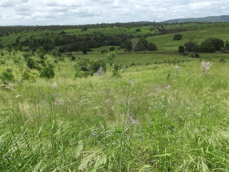 559 North Dallarnil Road, Dallarnil QLD 4621