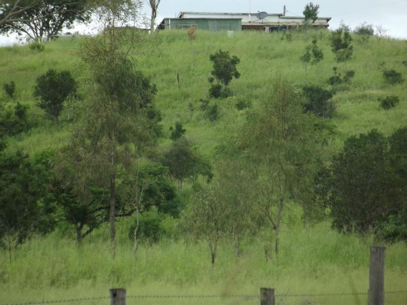 559 North Dallarnil Road, Dallarnil QLD 4621