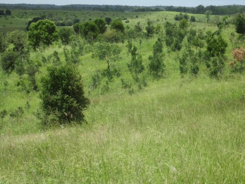 559 North Dallarnil Road, Dallarnil QLD 4621