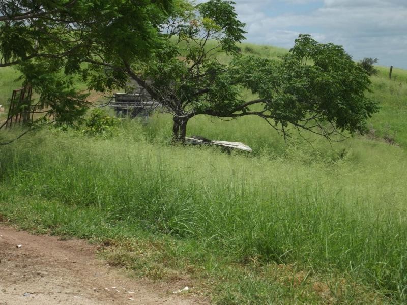 559 North Dallarnil Road, Dallarnil QLD 4621