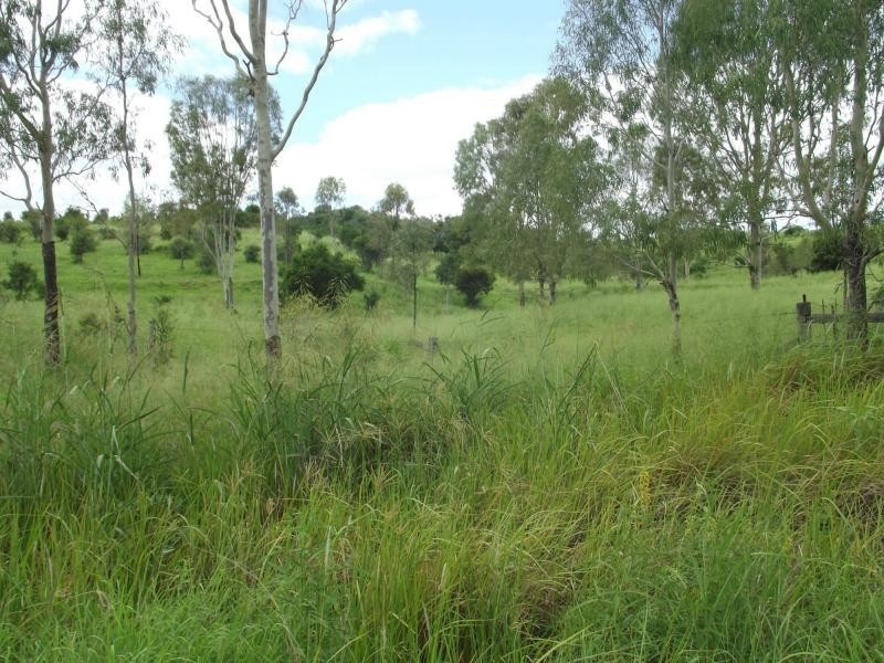 559 North Dallarnil Road, Dallarnil QLD 4621