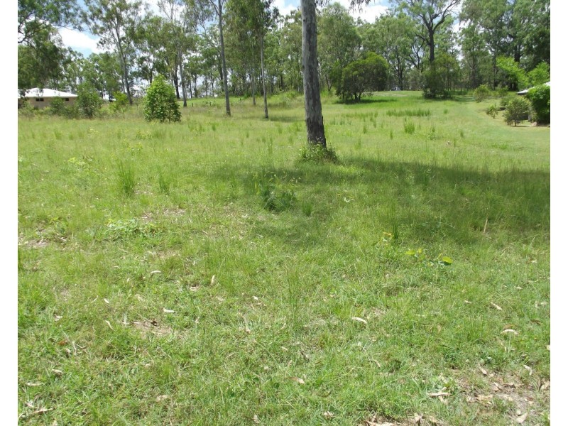 20 Wallace Street, Apple Tree Creek QLD 4660