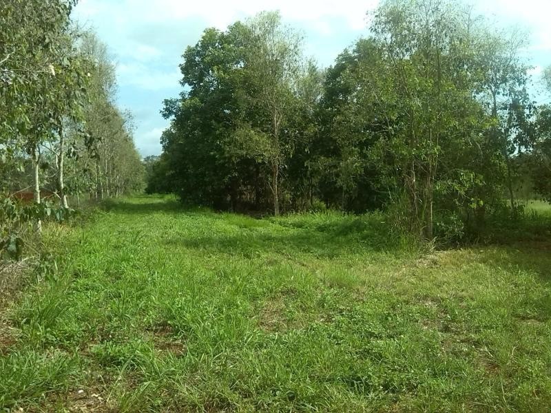 L2 Hodges Road, Childers, Cordalba QLD 4660