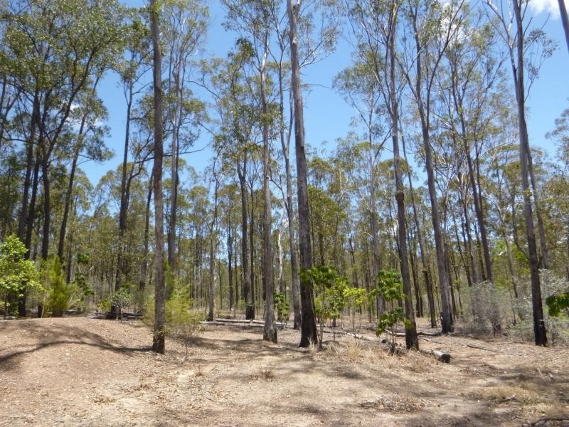 South Bingera QLD 4670