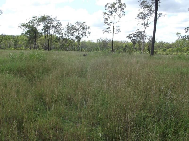 L29 Corfield Drive, Booyal QLD 4671