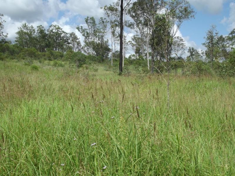 L29 Corfield Drive, Booyal QLD 4671