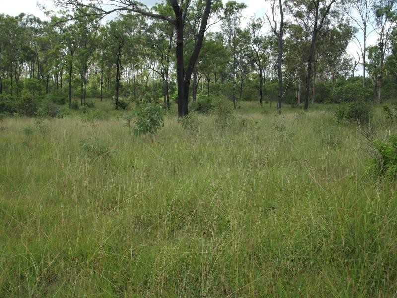L29 Corfield Drive, Booyal QLD 4671