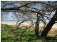 9 Macadamia Court, Bundaberg Regional Council, Woodgate QLD 4660