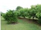 202 Old Creek Road, Childers QLD 4660