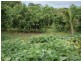 202 Old Creek Road, Childers QLD 4660