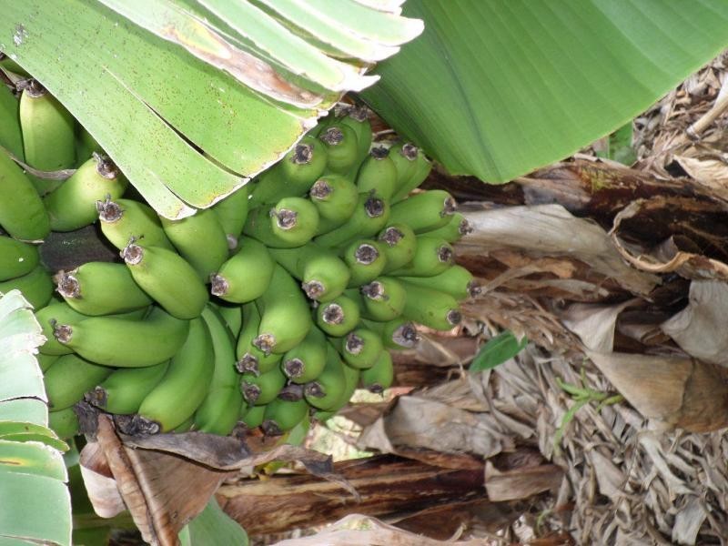 202 Old Creek Road, Childers QLD 4660