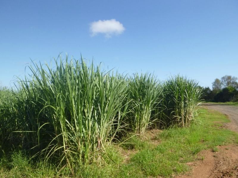 Cordalba QLD 4660