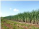 Cordalba QLD 4660