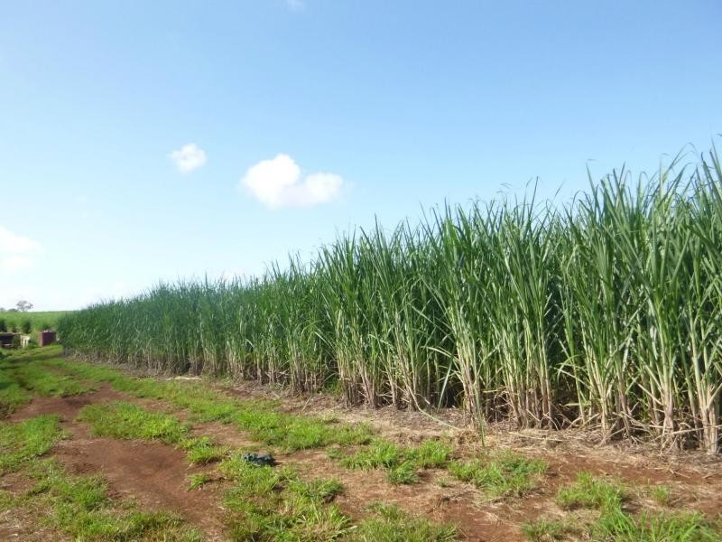 Cordalba QLD 4660