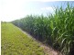 Cordalba QLD 4660