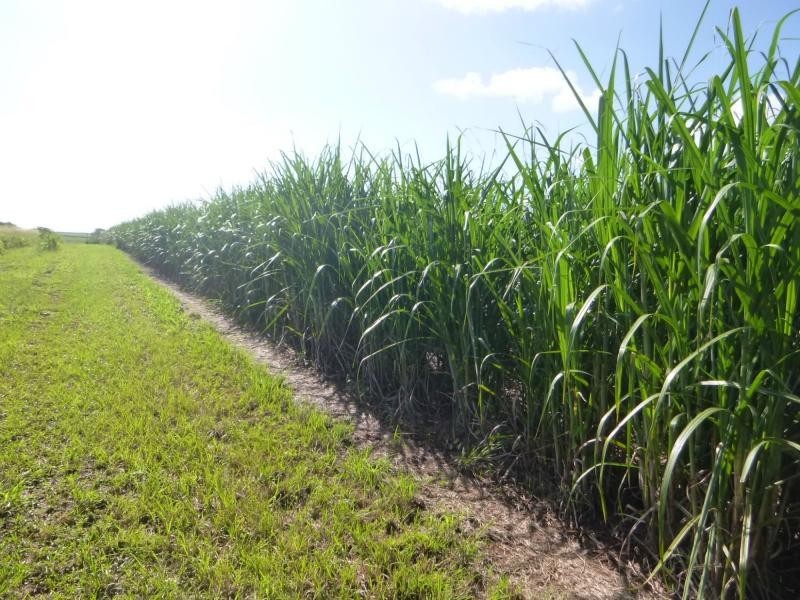 Cordalba QLD 4660