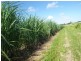 Cordalba QLD 4660