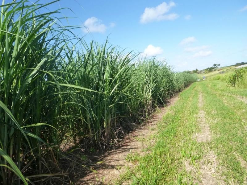 Cordalba QLD 4660