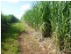 Cordalba QLD 4660