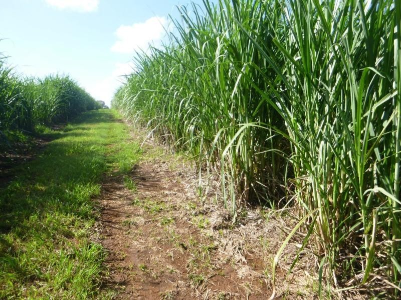 Cordalba QLD 4660