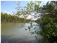 1384 Buxton Road, Buxton QLD 4660