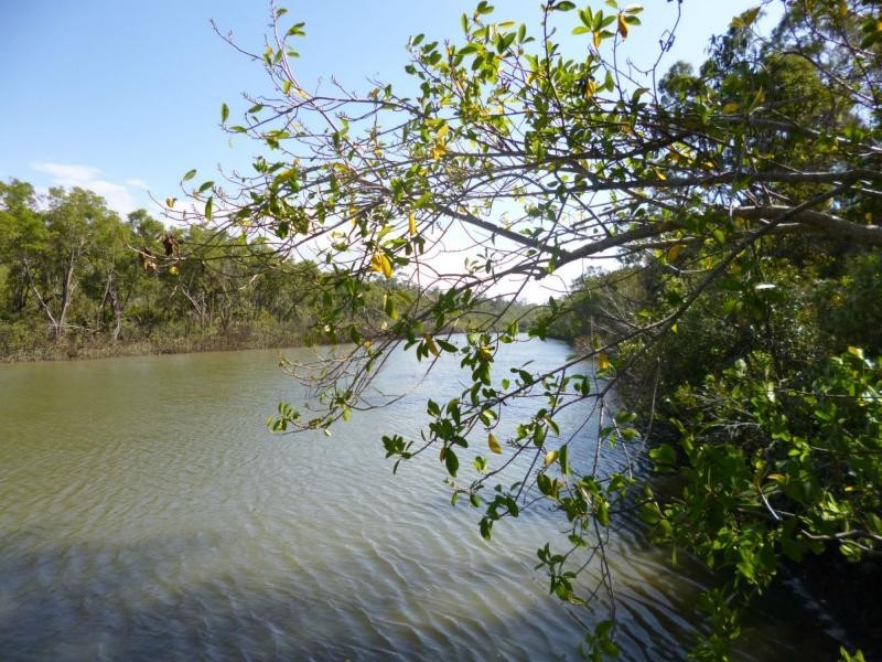 1384 Buxton Road, Buxton QLD 4660