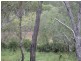 1384 Buxton Road, Buxton QLD 4660