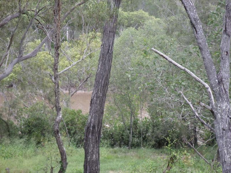 1384 Buxton Road, Buxton QLD 4660
