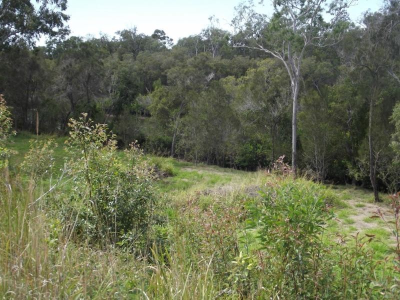 1384 Buxton Road, Buxton QLD 4660