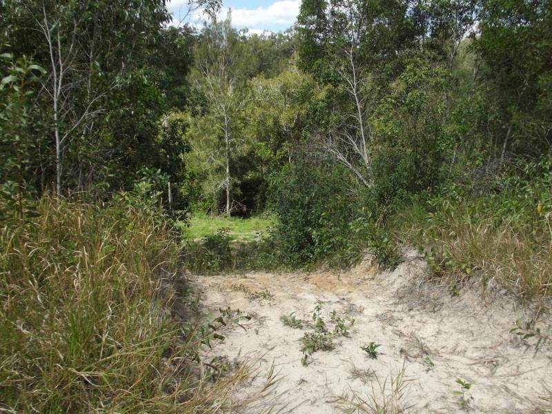 1384 Buxton Road, Buxton QLD 4660
