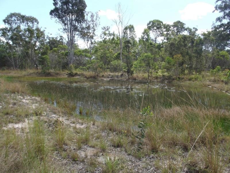 1384 Buxton Road, Buxton QLD 4660