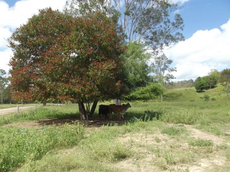 251 Fairview Creek Road, Biggenden QLD 4621