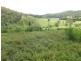 251 Fairview Creek Road, Biggenden QLD 4621