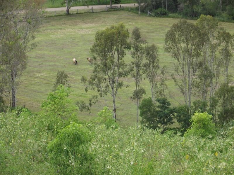 251 Fairview Creek Road, Biggenden QLD 4621