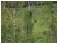 251 Fairview Creek Road, Biggenden QLD 4621