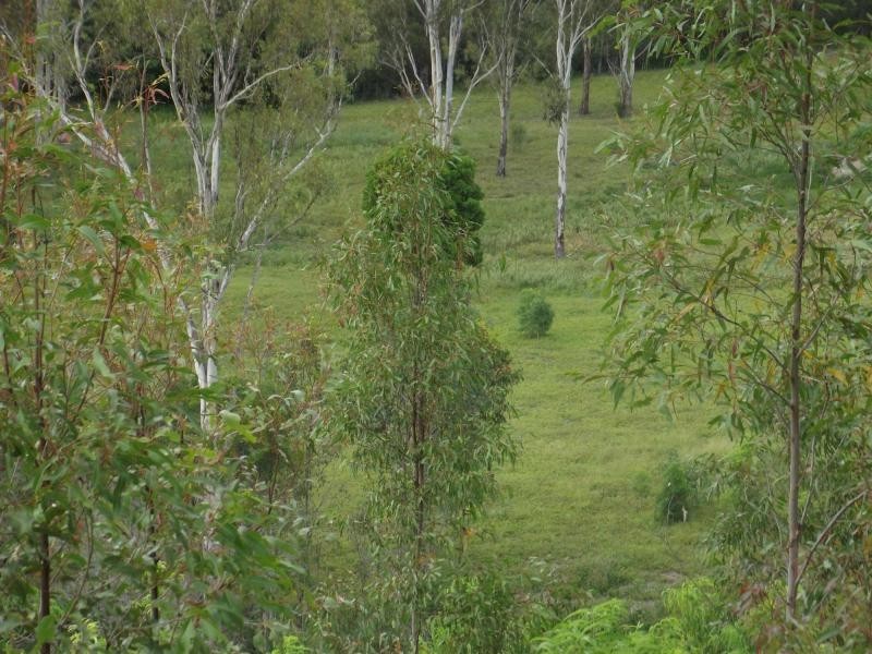 251 Fairview Creek Road, Biggenden QLD 4621