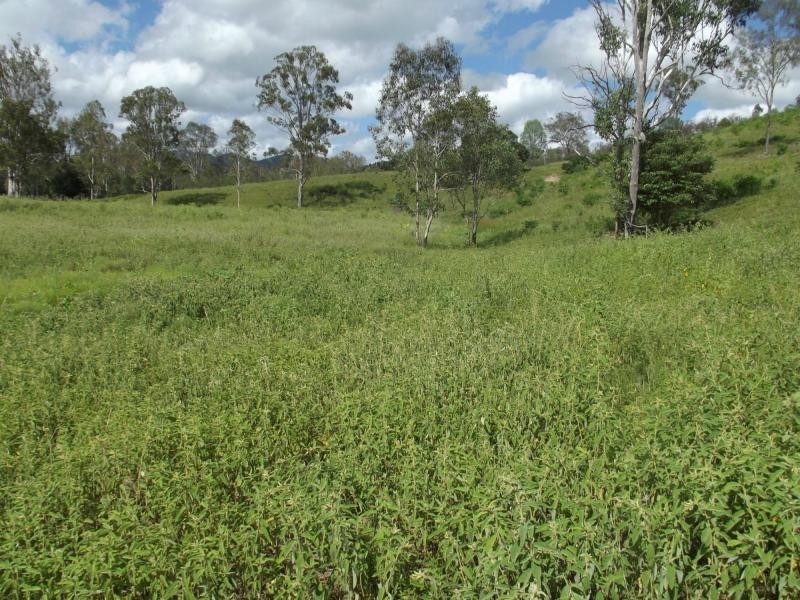 251 Fairview Creek Road, Biggenden QLD 4621
