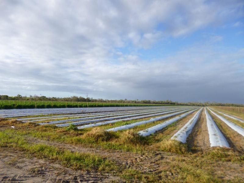 L304 Pitts Road, Childers, Farnsfield QLD 4660