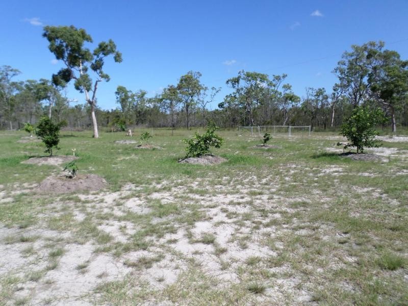 370 Devils Elbow Road, Buxton, Buxton QLD 4660