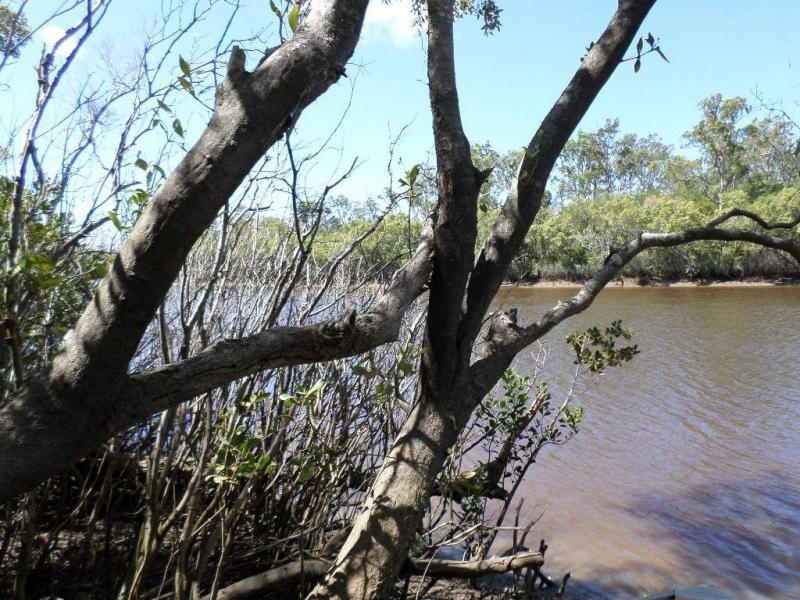 370 Devils Elbow Road, Buxton, Buxton QLD 4660