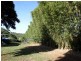 18 Huxley Road, Childers QLD 4660