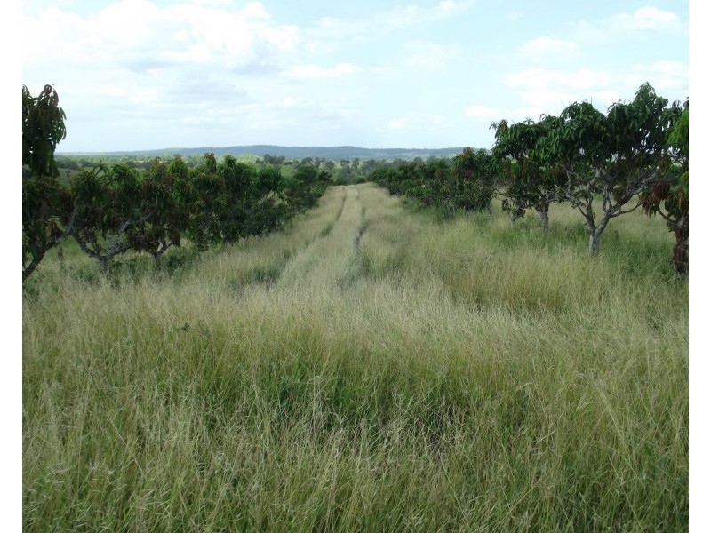 232 Goodnight Scrub Road, Morganville QLD 4671