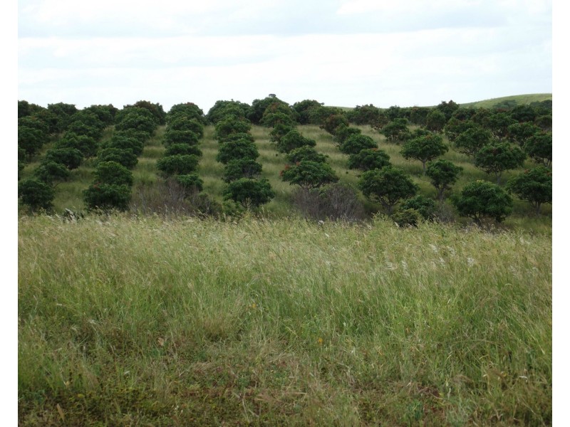 232 Goodnight Scrub Road, Morganville QLD 4671